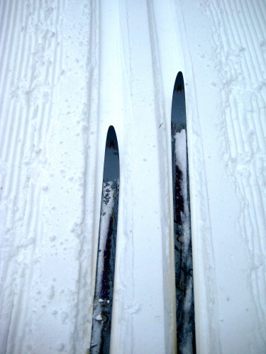 skis.jpg
