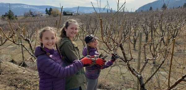 Resized-20200322-115518